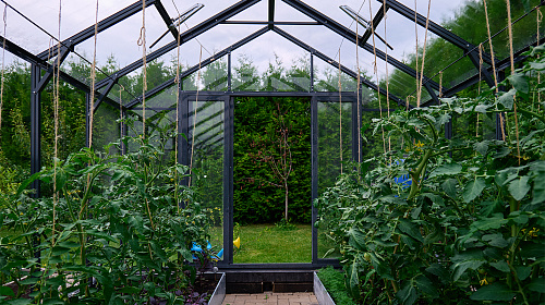 Теплица ЭКОНИКА  звезда участка