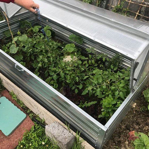 Парник Воля Хлебница