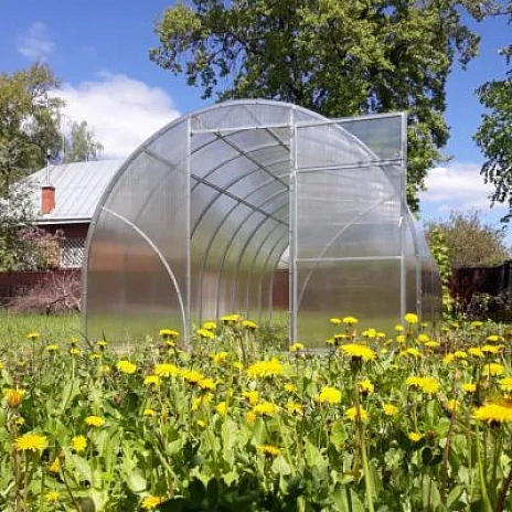 Теплица Воля	 Бетта-Ц