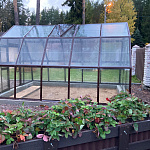 Теплица ВОЛГА