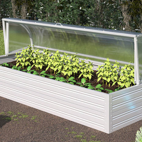 Парник Воля Хлебница