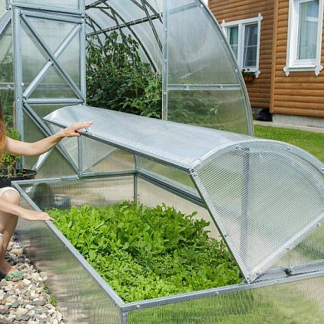 Парник Воля Лотос