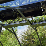 Теплица Juliana GRAND OASE 18,8 с высоким цоколем — антрацит ( Джулиана)