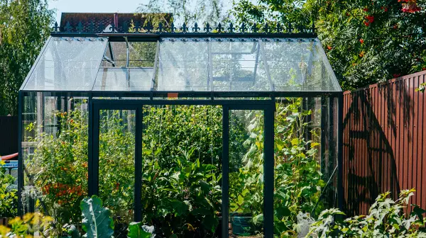 Теплица ЭКОНИКА с боковой дверью