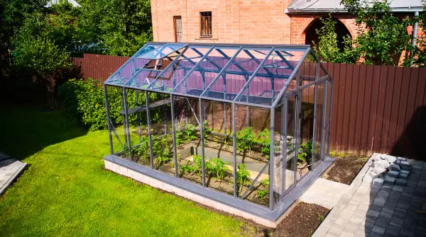 Уникальная теплица ЭКОНИКА