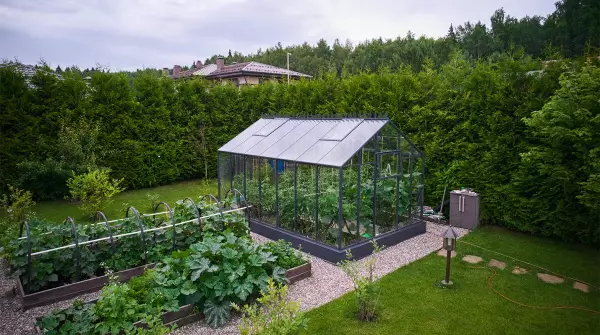 Теплица ЭКОНИКА  звезда участка